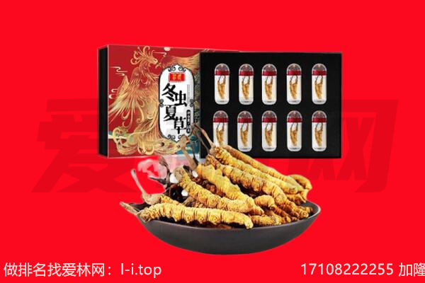 漳浦县回收虫草.jpg